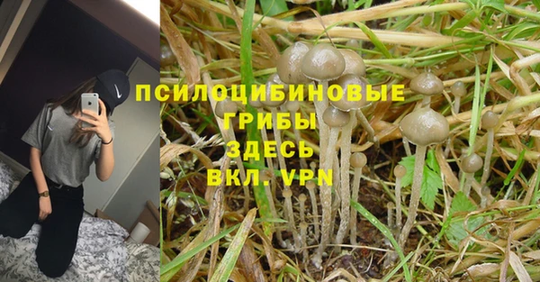 метадон Алексин