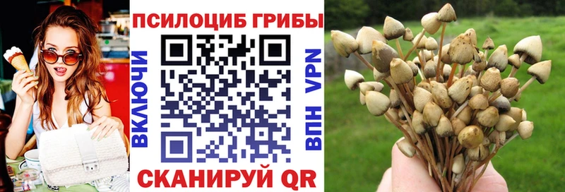 Галлюциногенные грибы Cubensis  Орлов 