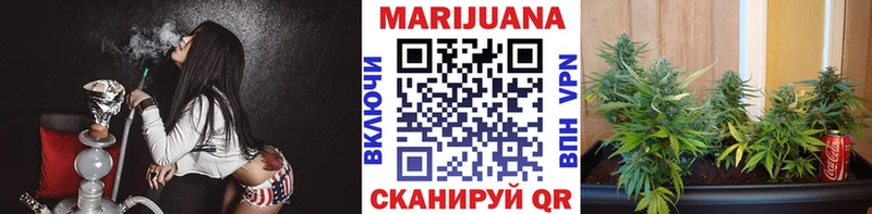 наркота  Орлов  Каннабис Ganja 